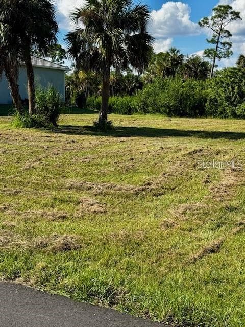 Land at 16851 ACAPULCO RD, PUNTA GORDA, photo 4 of 6