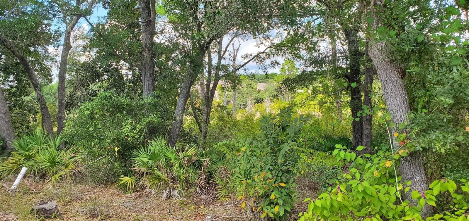 Land at 6 COVE CREEK LN, INLET BEACH, photo 2 of 10