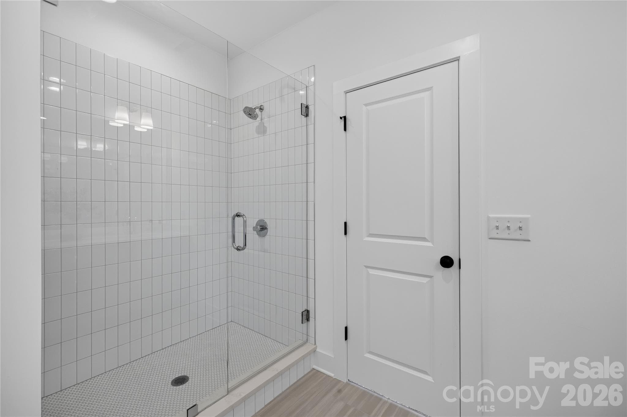 Owner's Shower - 9075 Maybry Park Street, Charlotte