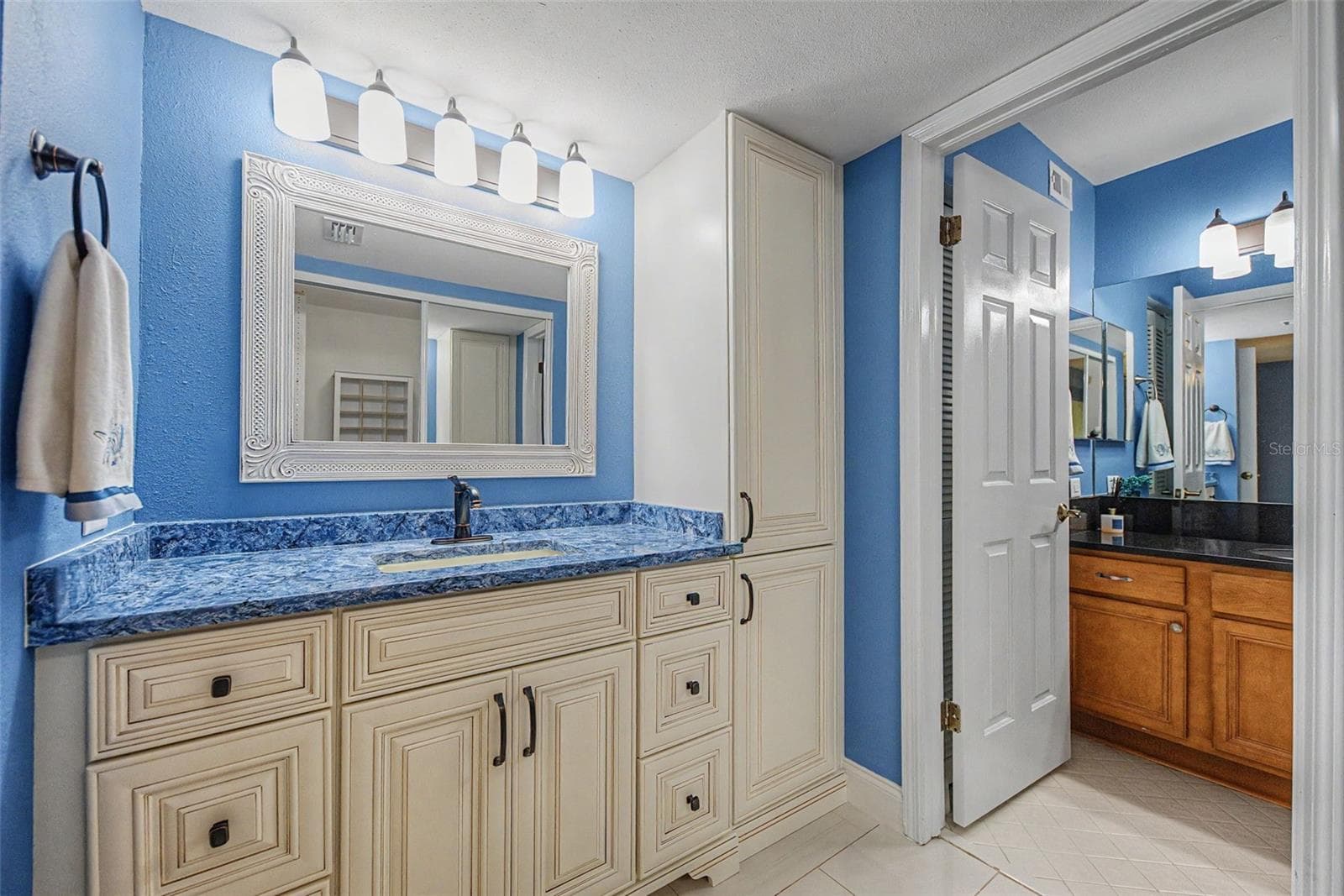 Extra vanity/sink in primary suite - 1801 E LAKE RD #1D, PALM HARBOR