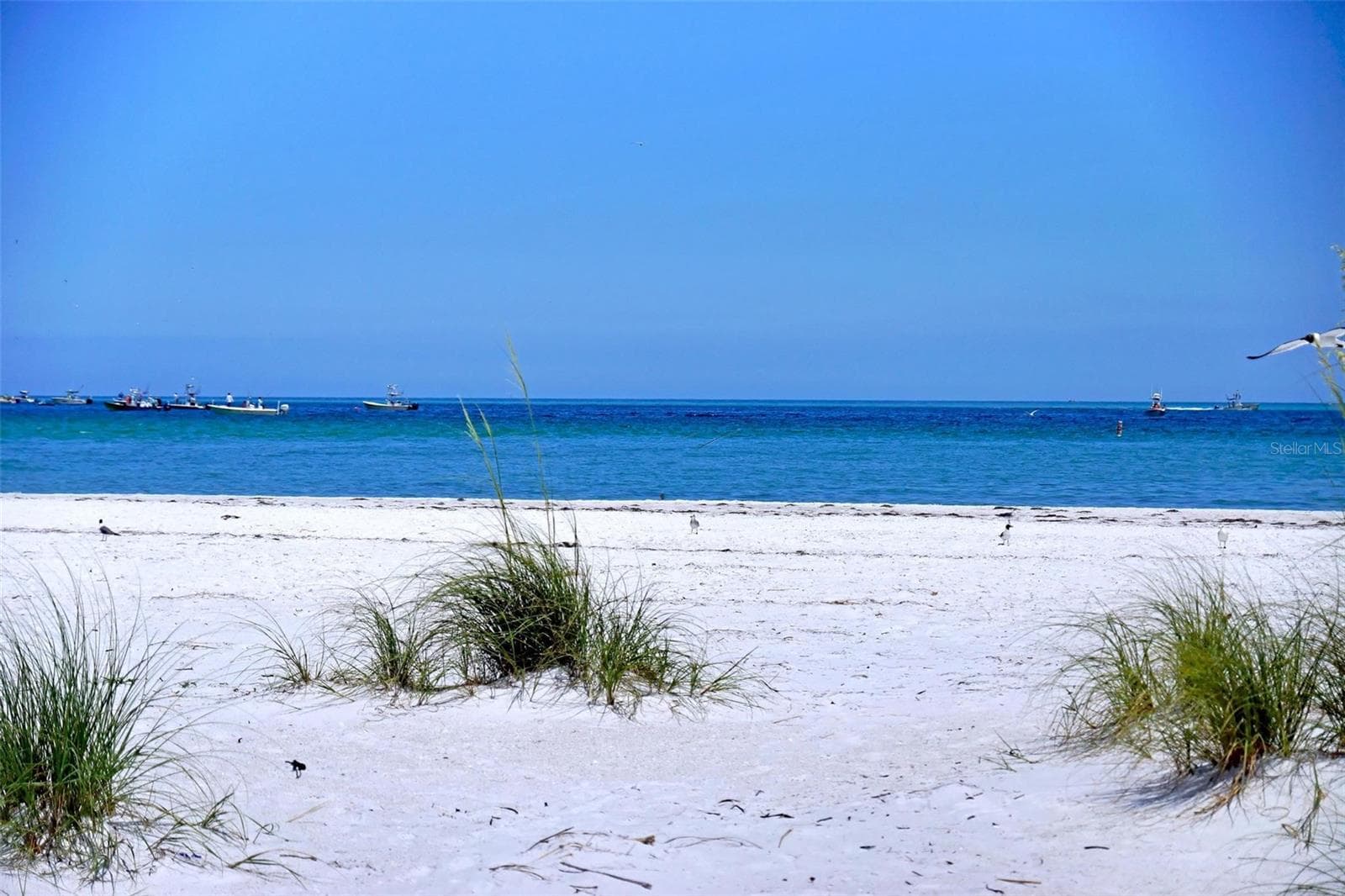 Sugar white sand beaches - 4907 CORAL BLVD, BRADENTON