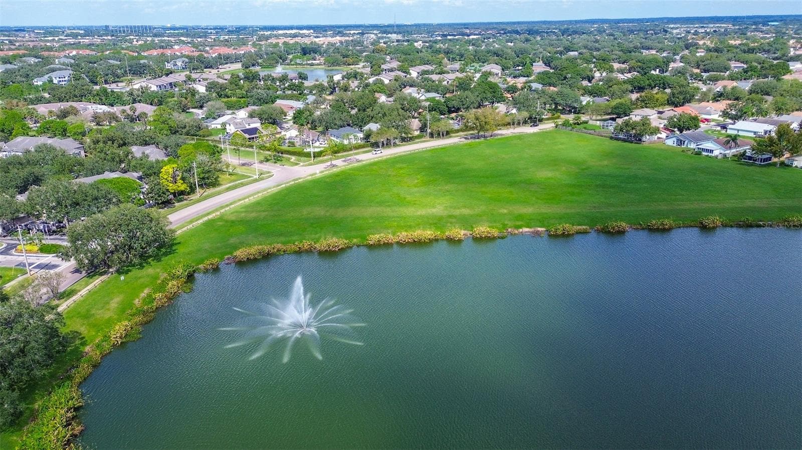 Pond and park area behind house - 1709 SCOTCH PINE DR, BRANDON
