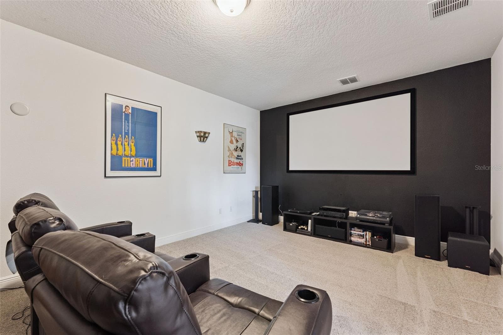 Media Room - 17839 GOURD NECK LOOP, WINTER GARDEN