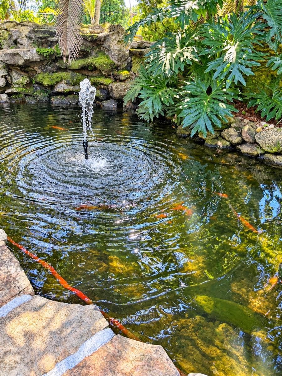 koi pond - 3800 SW 137TH AVE, MIRAMAR
