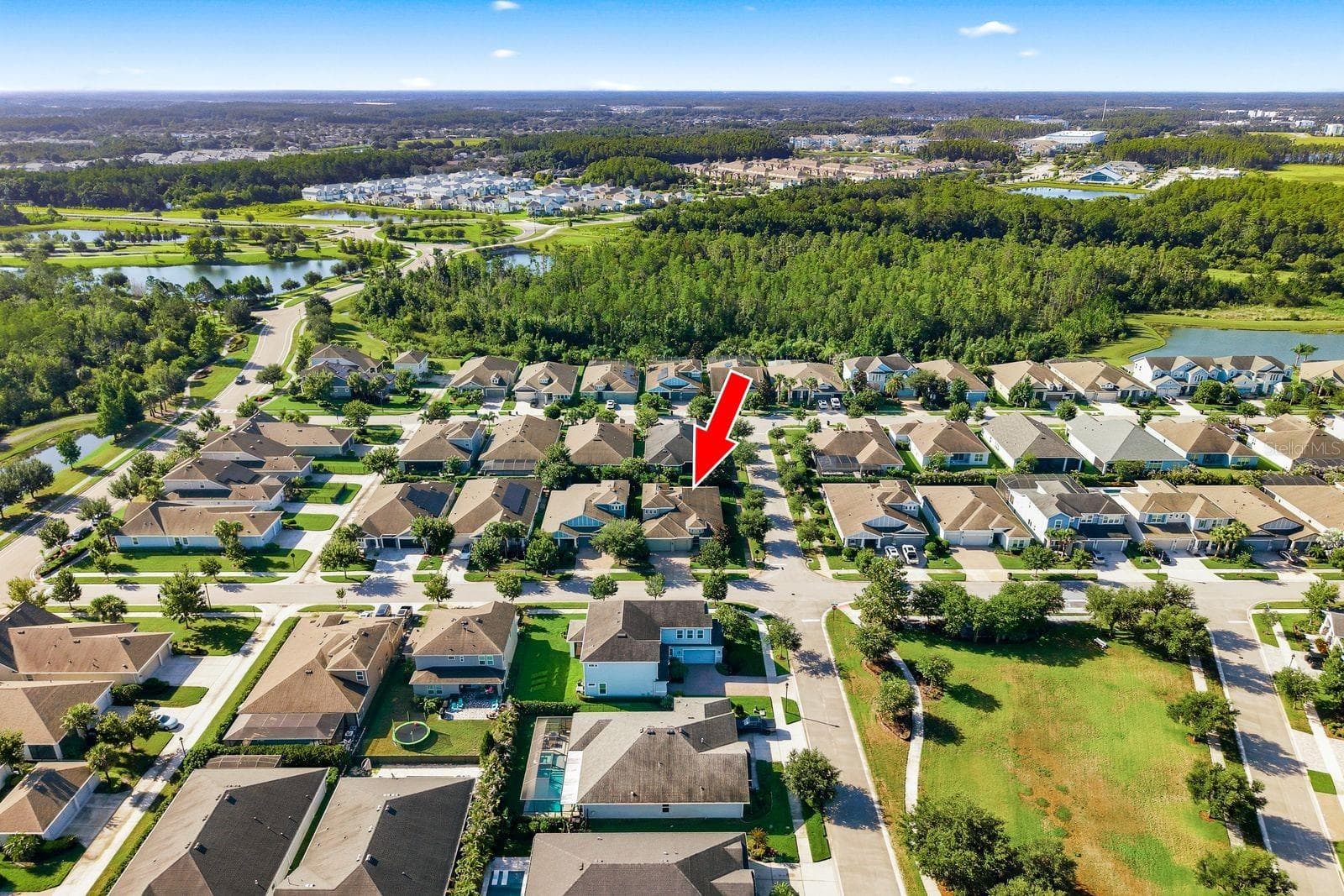 Single Family Residence at 16485 COURTYARD LOOP, LAND O LAKES, photo 63 of 87