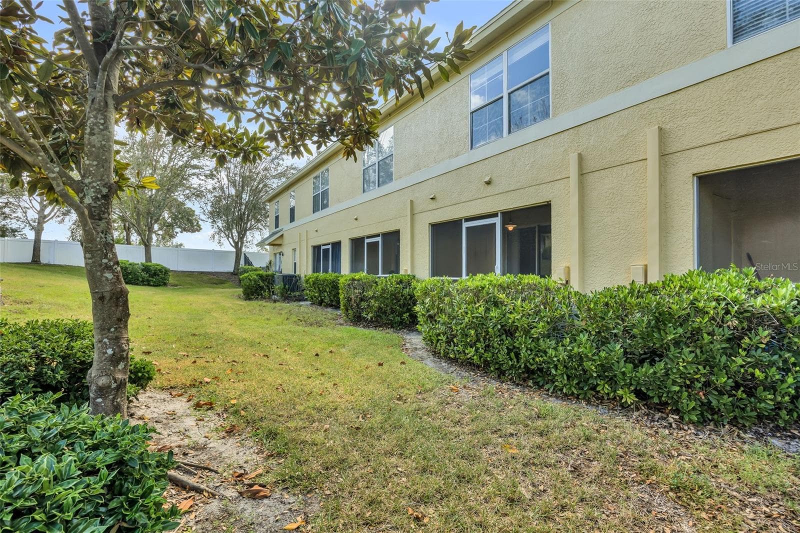 BACK ELEVATION - 209 DRAW BRIDGE LN, VALRICO