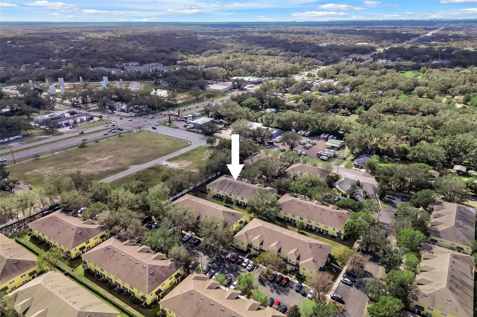 OVERHEAD DRONE OF COMMUNITY - 209 DRAW BRIDGE LN, VALRICO