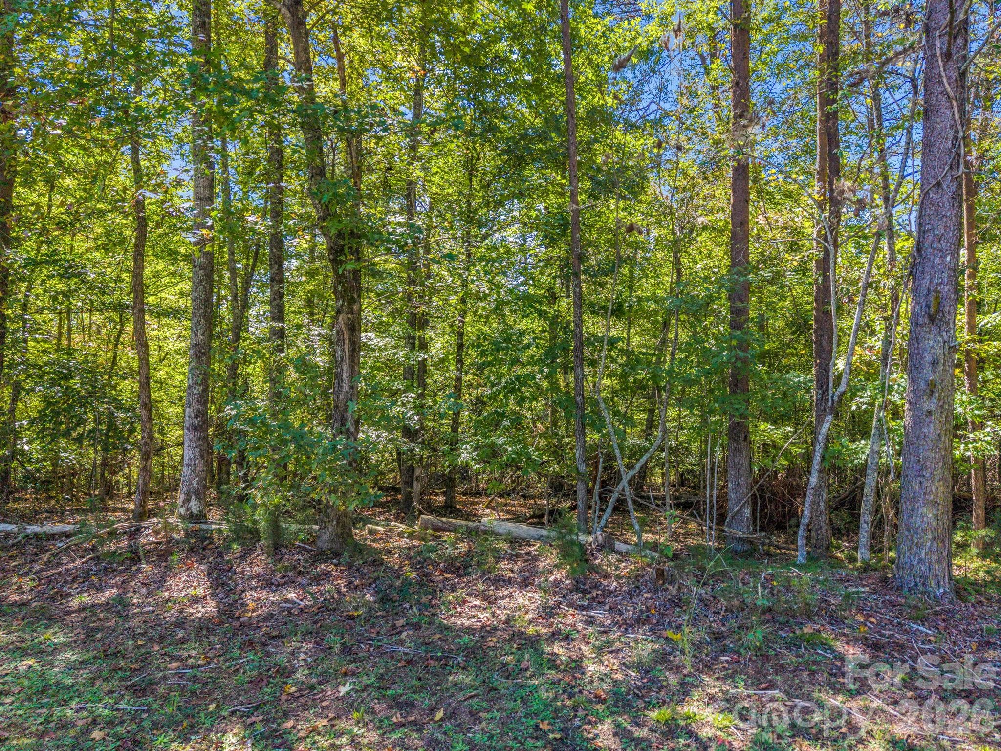 Lot at 0 River Bend Drive, Connelly Springs, photo 6 of 10