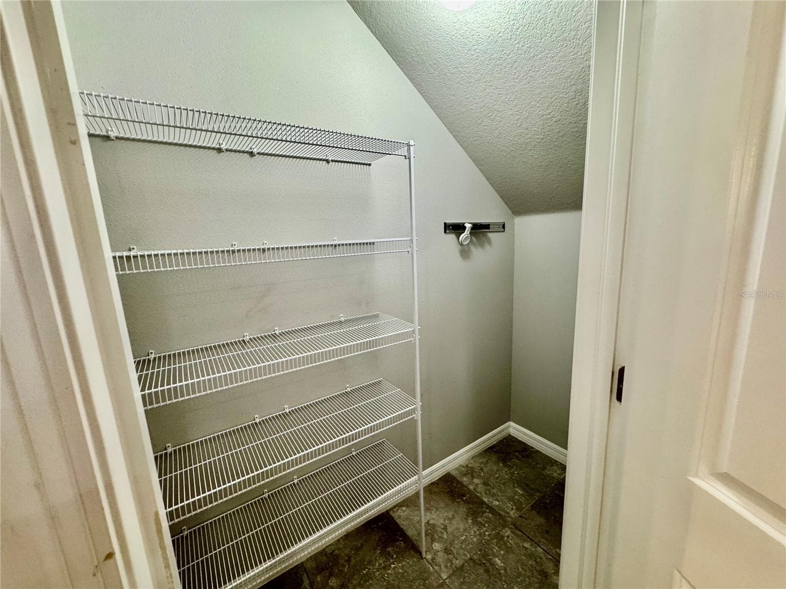 Walk in Pantry - 8696 ICE WINE ST, SARASOTA