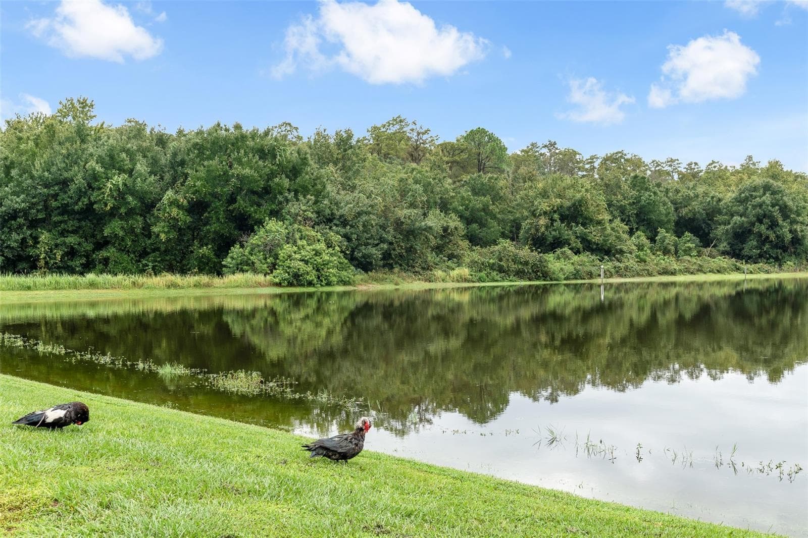 Single Family Residence at 4650 EAGLE PEAK DR, KISSIMMEE, photo 31 of 38