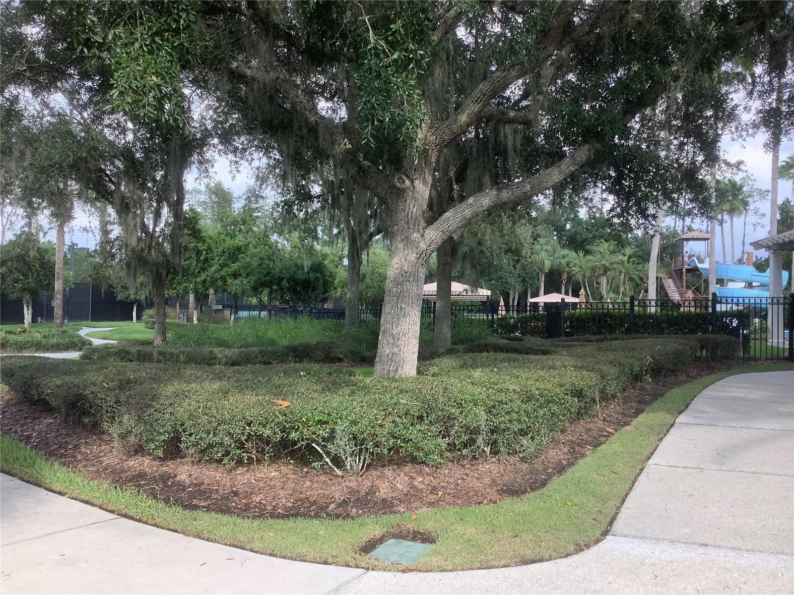 Tennis & Pickelball - 27443 MISTFLOWER DR, WESLEY CHAPEL