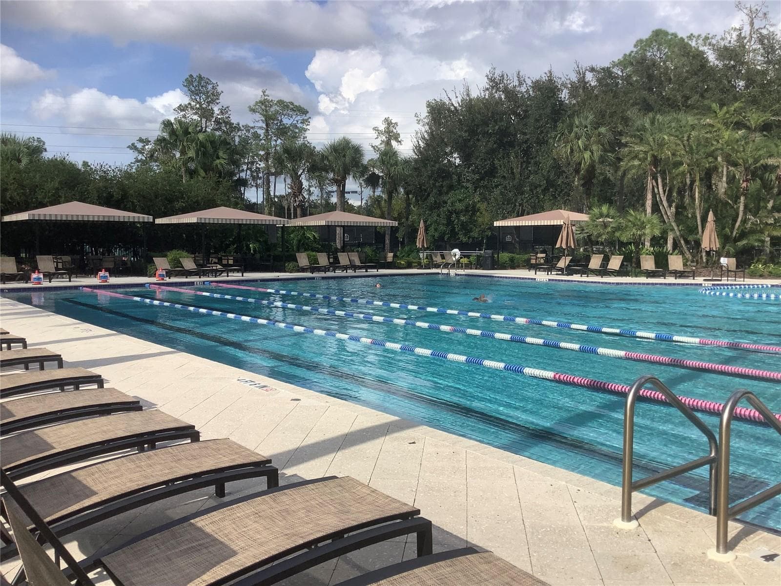 Jr olympic lap pool - 27443 MISTFLOWER DR, WESLEY CHAPEL