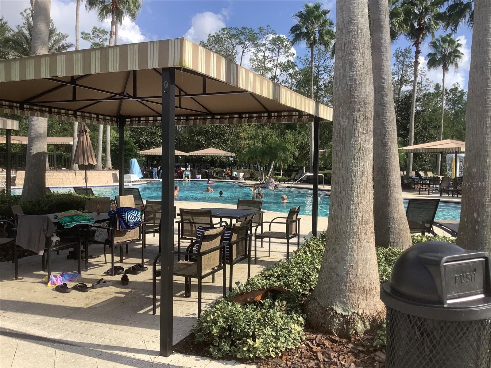 Relaxing family pool - 27443 MISTFLOWER DR, WESLEY CHAPEL