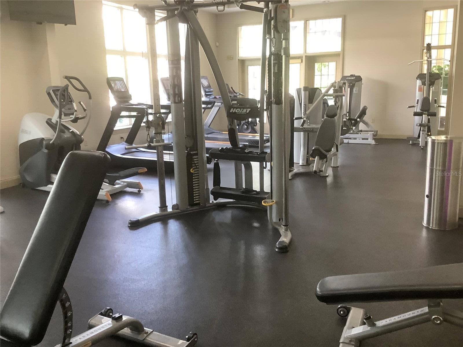 Gym - 27443 MISTFLOWER DR, WESLEY CHAPEL