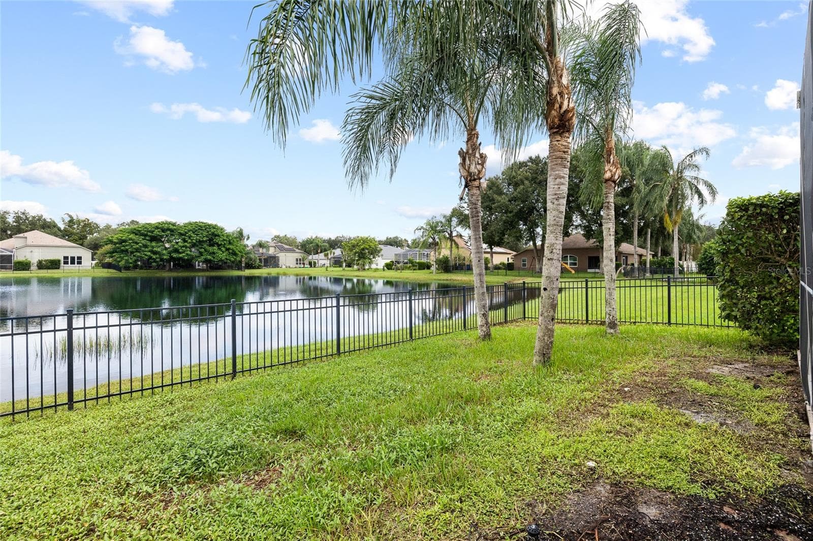 Single Family Residence at 19015 FERN MEADOW LOOP, LUTZ, photo 61 of 69