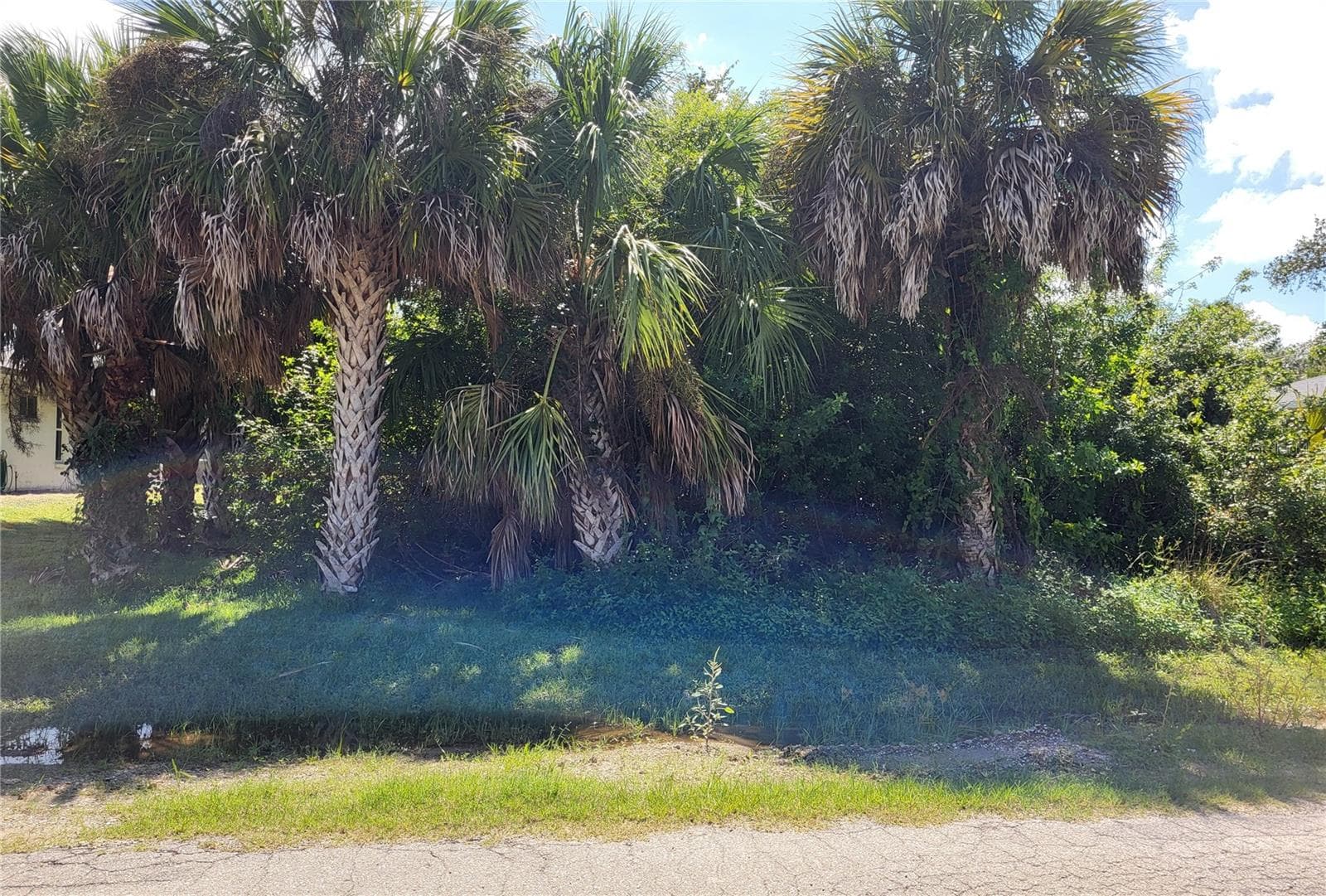 Land at 18179 ROBINSON AVE, PORT CHARLOTTE, photo 3 of 10