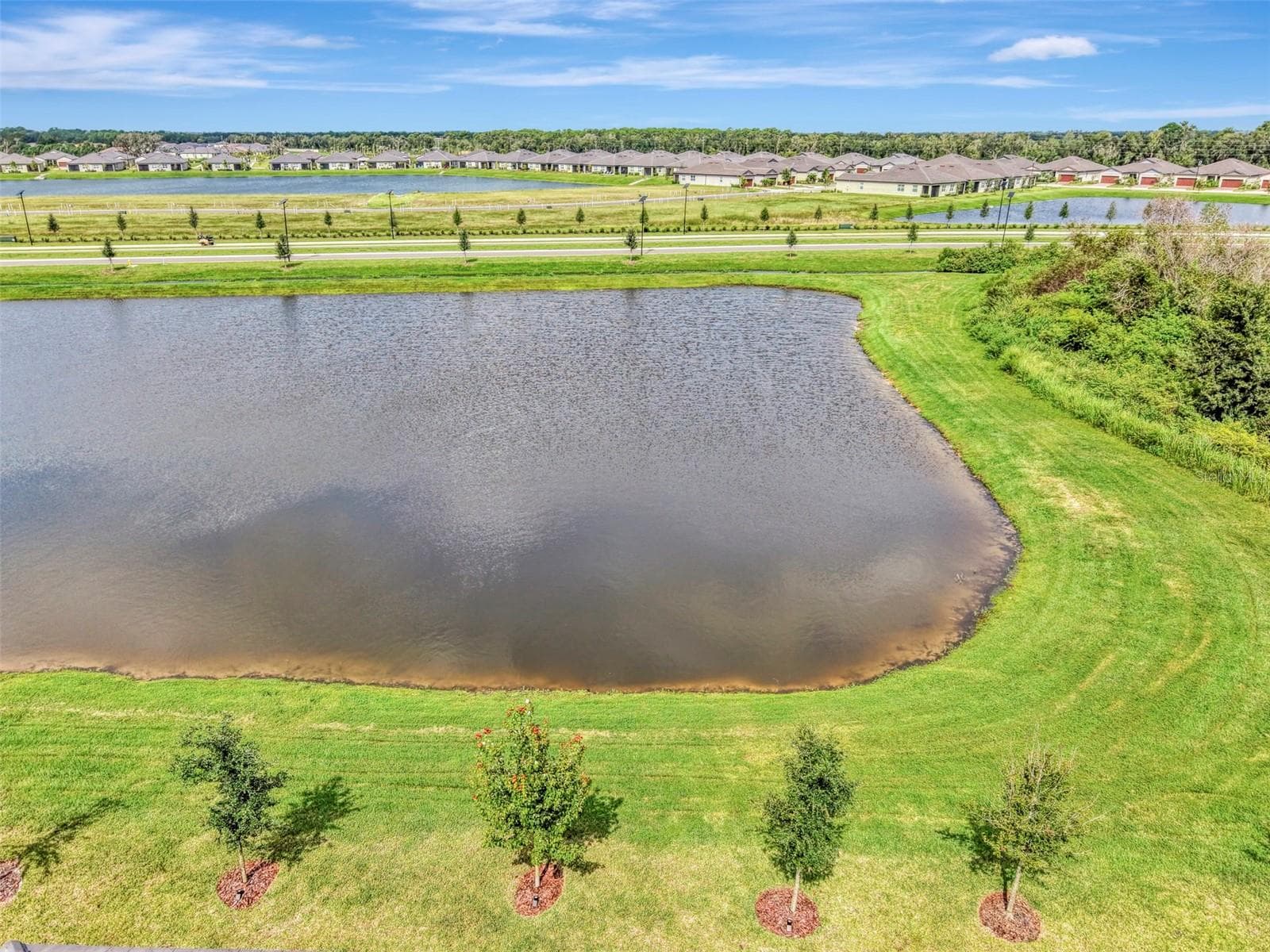 Single Family Residence at 11854 LILAC PEARL LN, PARRISH, photo 70 of 100