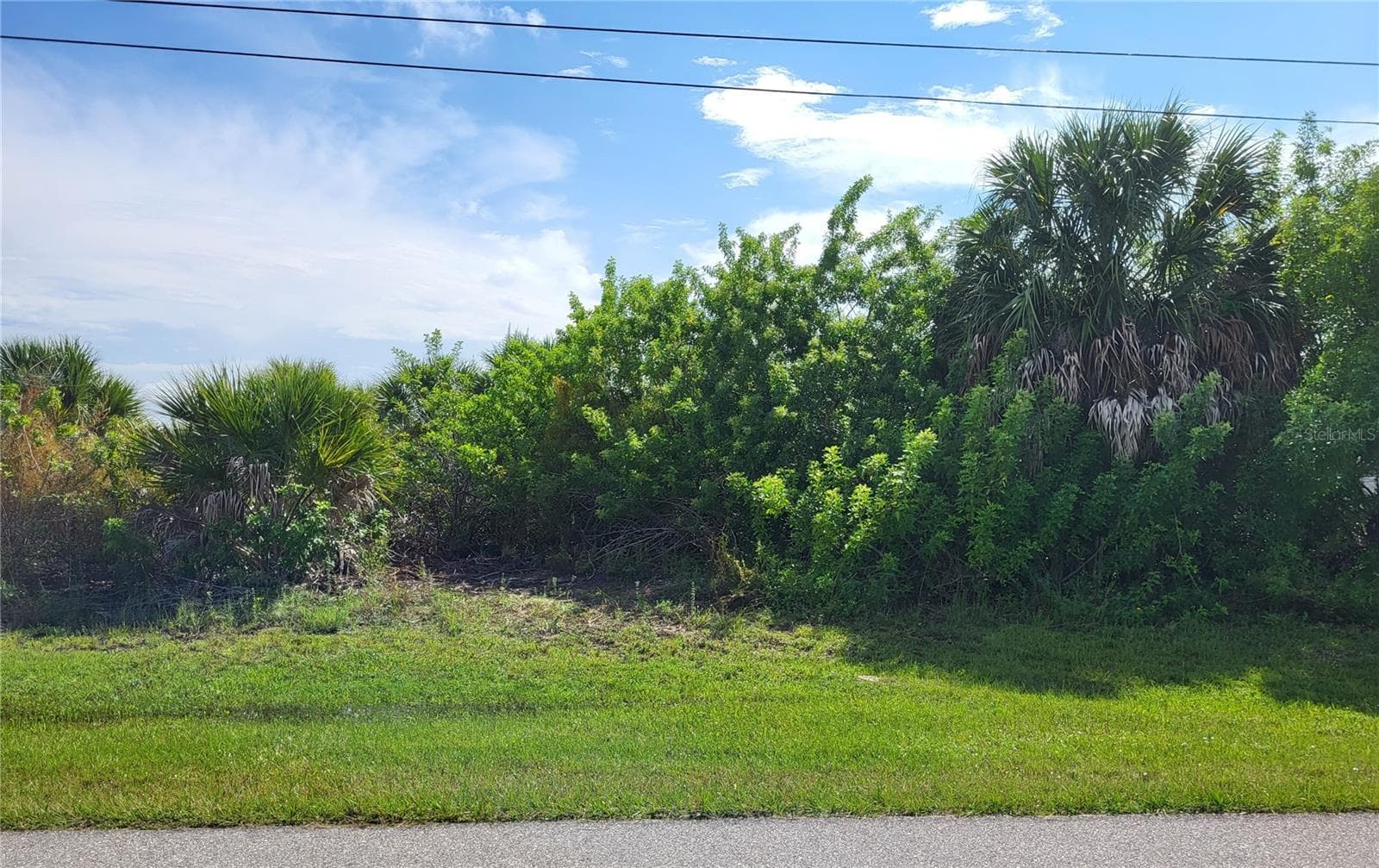 Land at 15762 APPLEWHITE CIR, PORT CHARLOTTE, photo 4 of 12