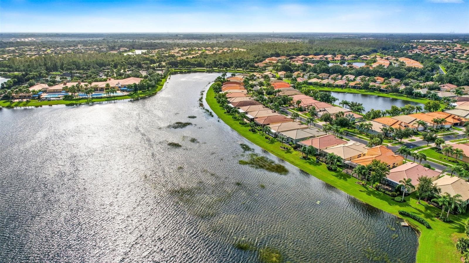 Single Family Residence at 15910 GOLDEN LAKES DR, WIMAUMA, photo 41 of 60