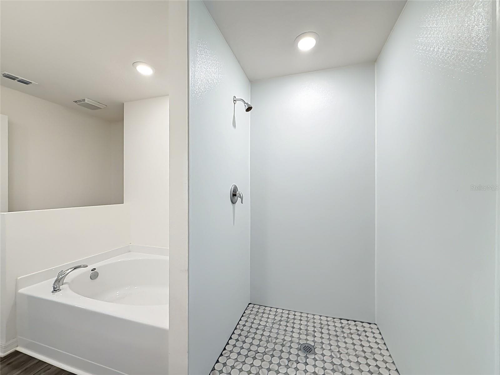 Master Bathroom - 12951 DEL LAGO DR, ASTATULA