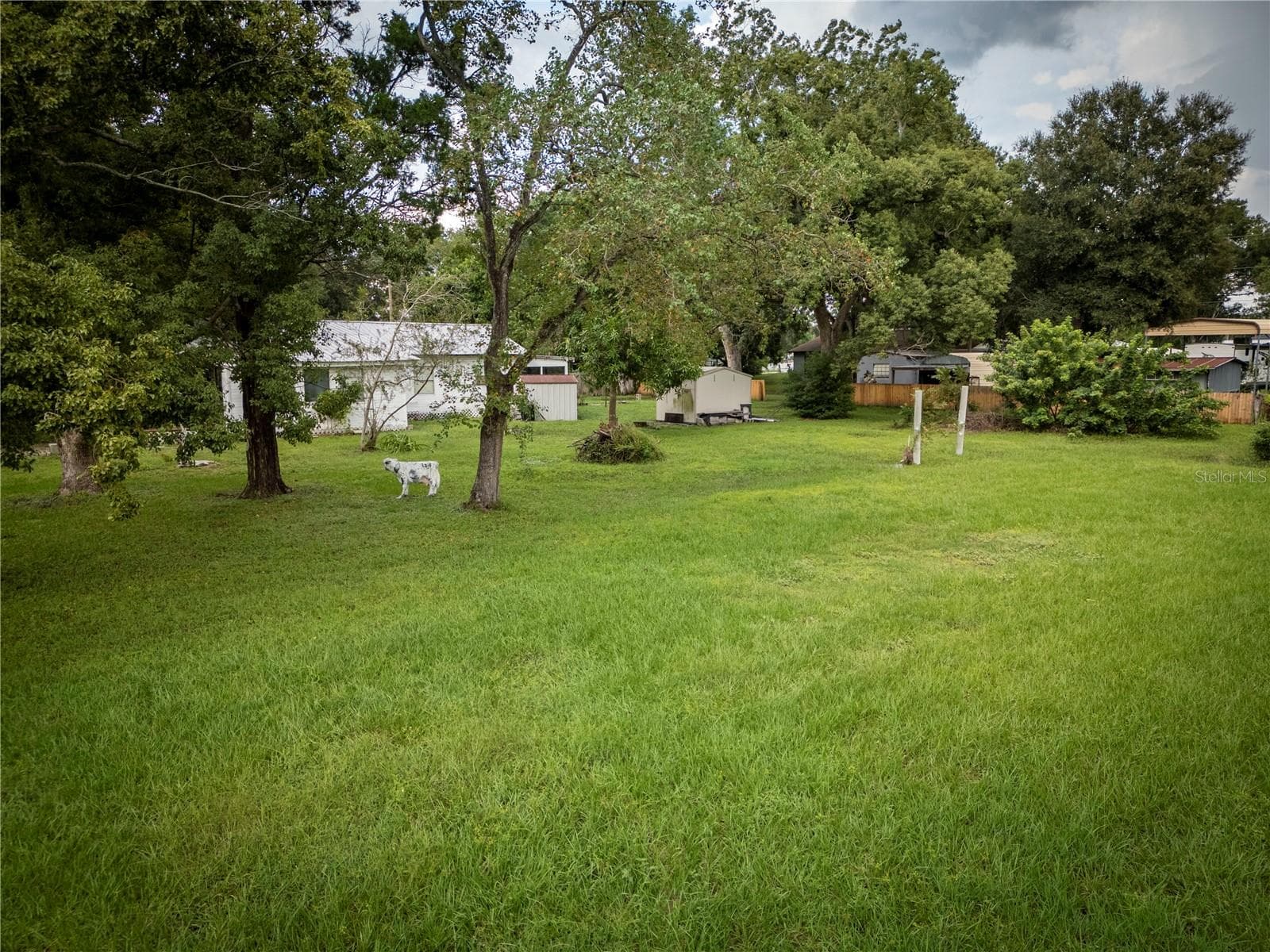 Yard - 3514 S 74TH ST, TAMPA