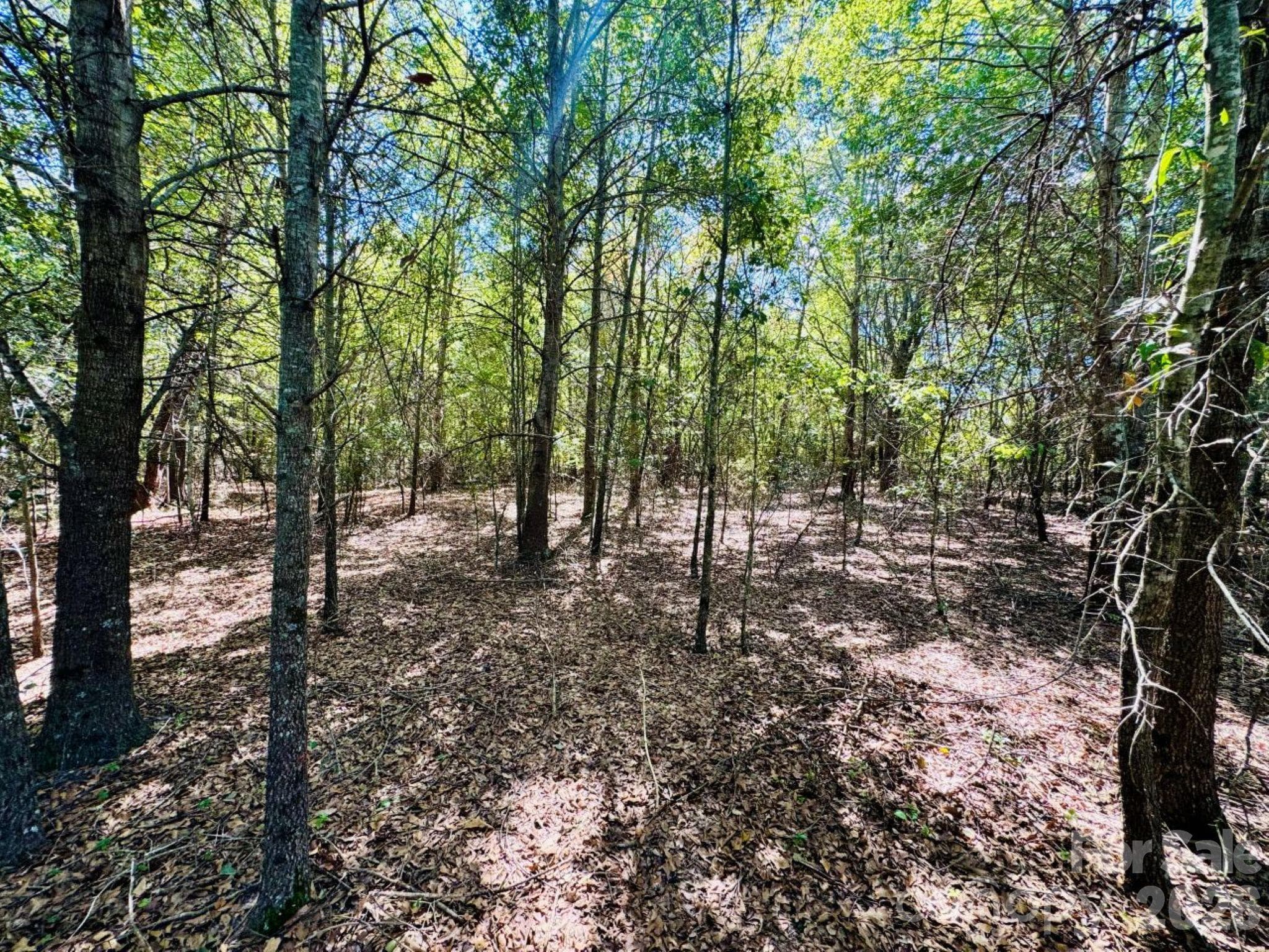 Lot at Lot 167 Brangus Lane, Cheraw, photo 4 of 6