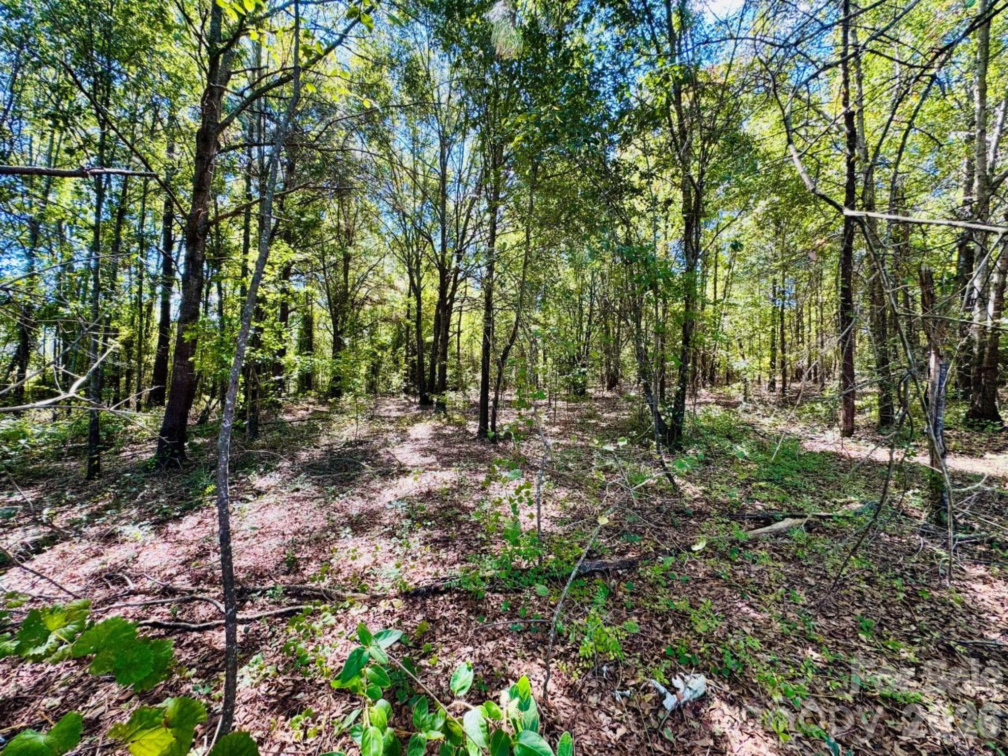 Lot at Lot 167 Brangus Lane, Cheraw, photo 5 of 6