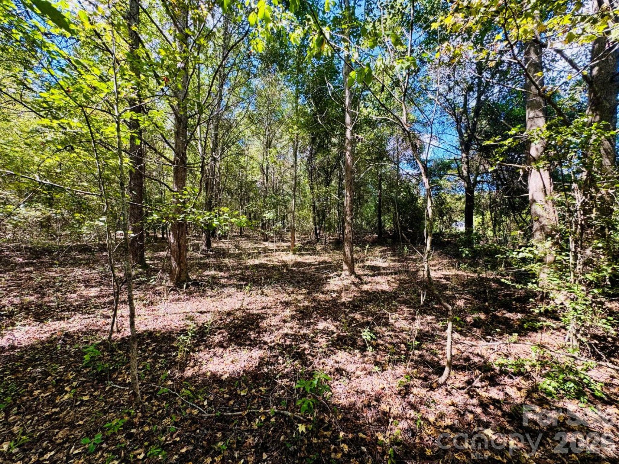 Lot at Lot 167 Brangus Lane, Cheraw, photo 6 of 6