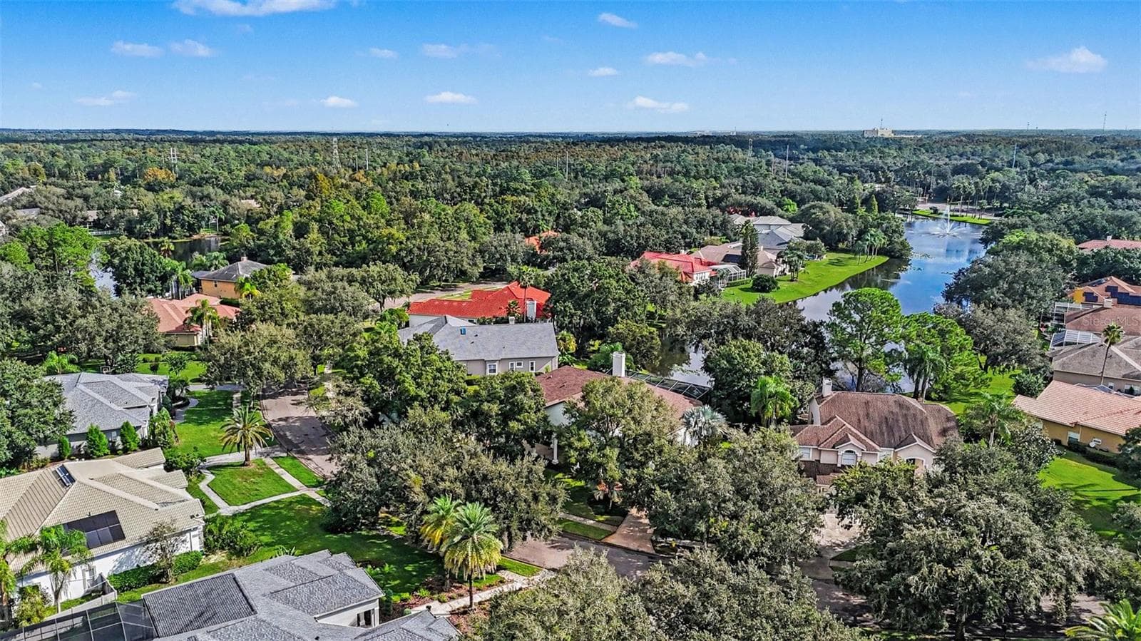 Aerial view - 5021 WESLEY DR, TAMPA