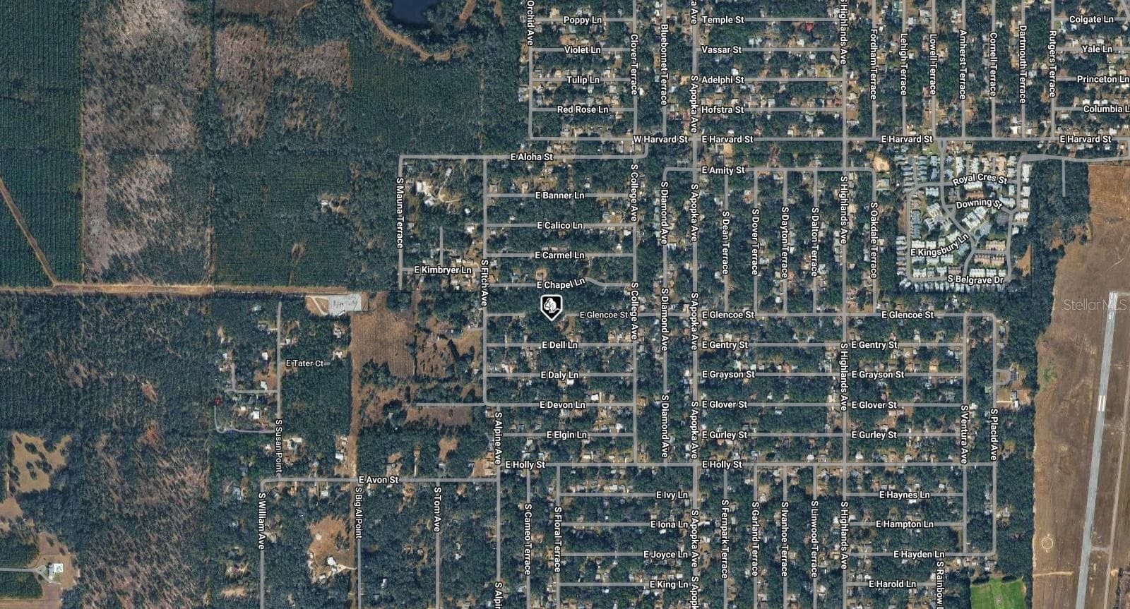 Land at 6034 E GLENCOE ST, INVERNESS, photo 3 of 3