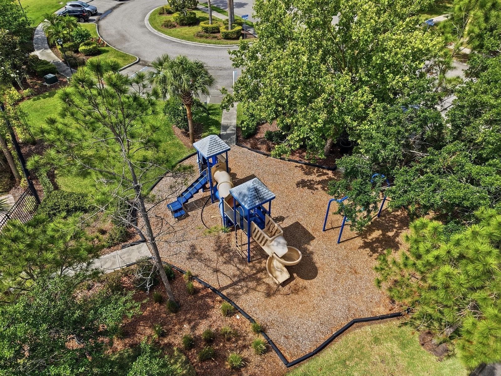 Playground for the children - 4620 CHATTERTON WAY, RIVERVIEW
