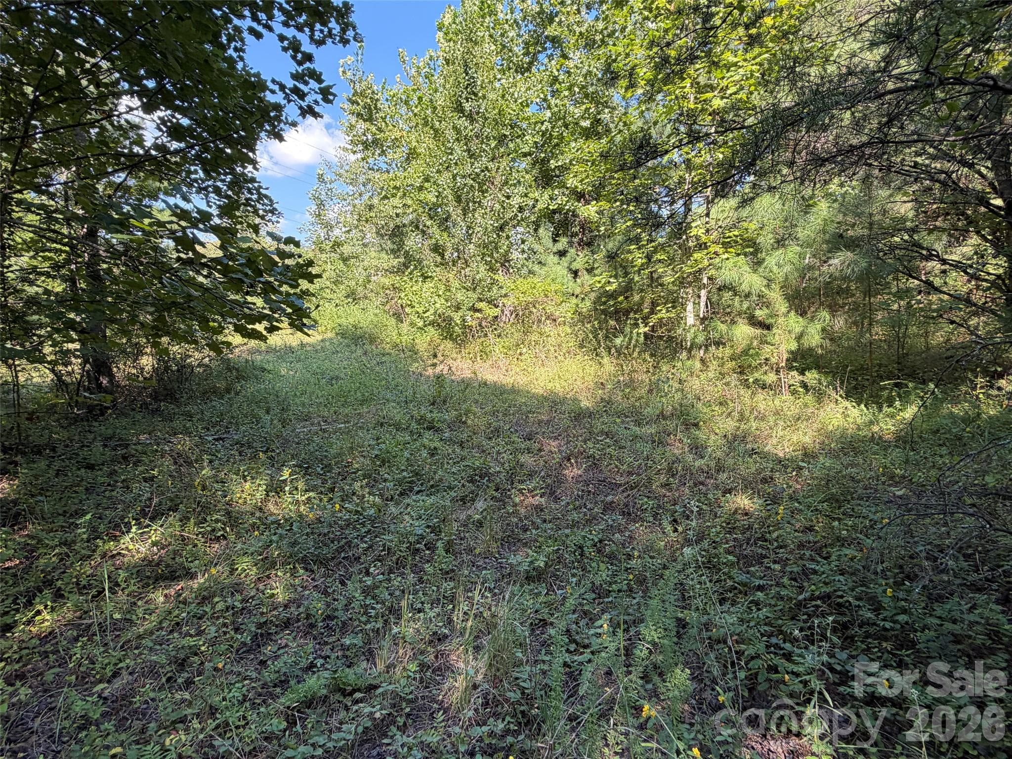 Acreage at TBD Southern Way, Nebo, photo 14 of 47