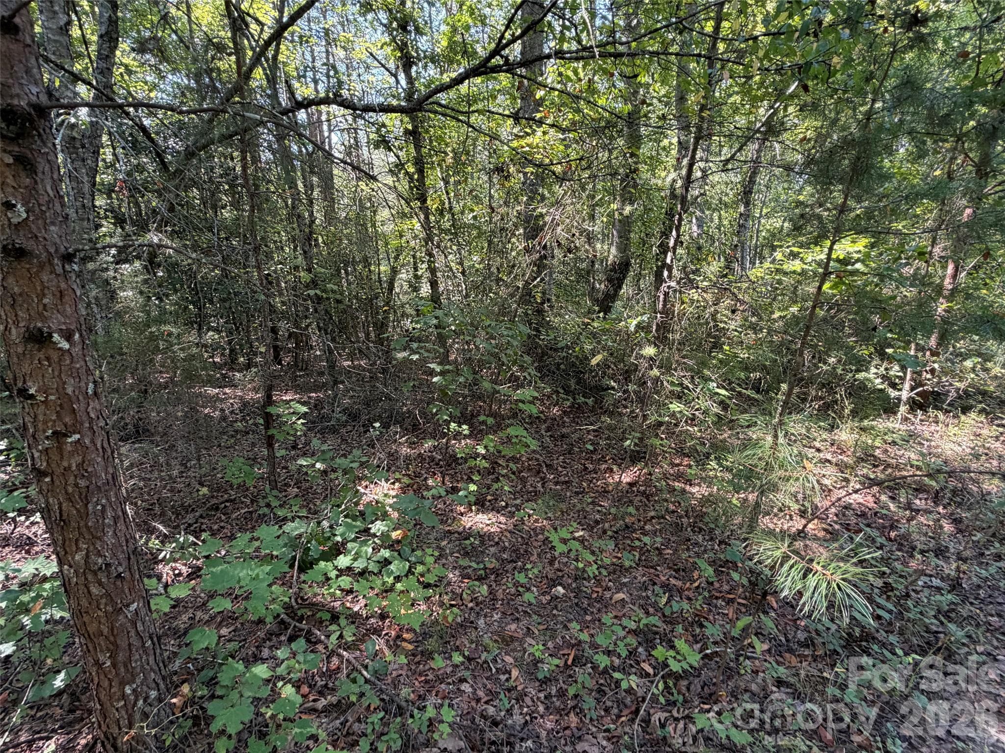 Acreage at TBD Southern Way, Nebo, photo 16 of 47