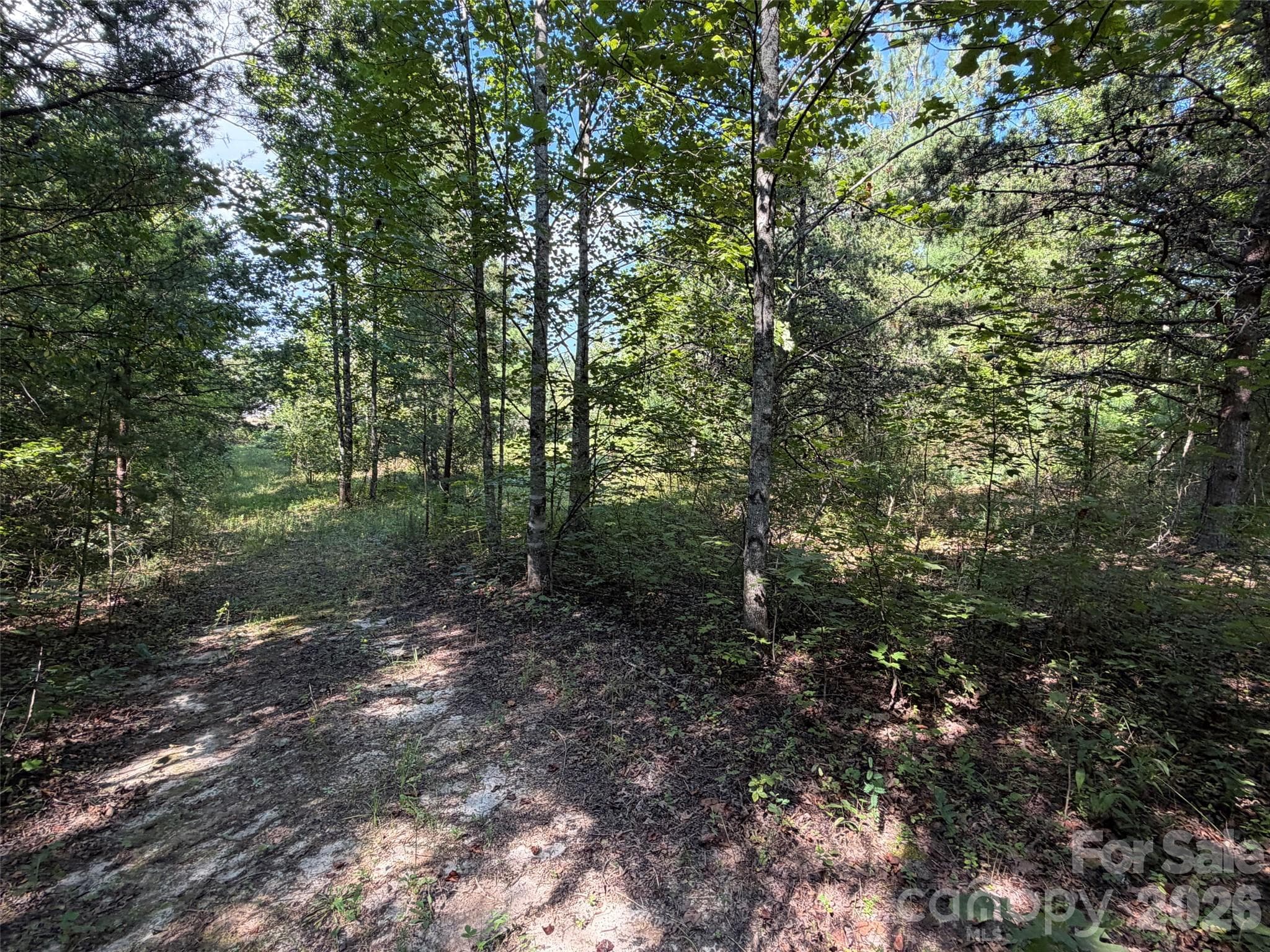 Acreage at TBD Southern Way, Nebo, photo 17 of 47