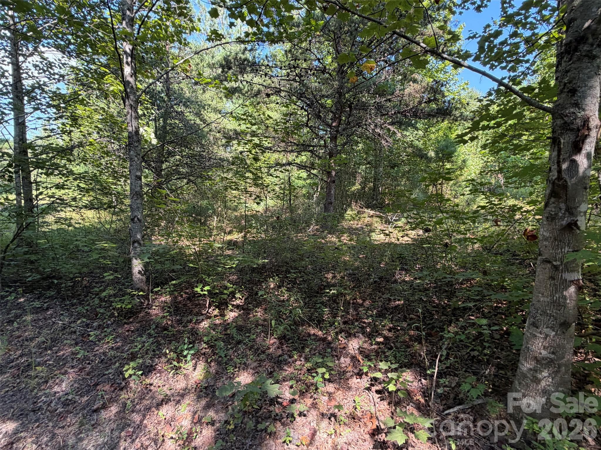 Acreage at TBD Southern Way, Nebo, photo 18 of 47