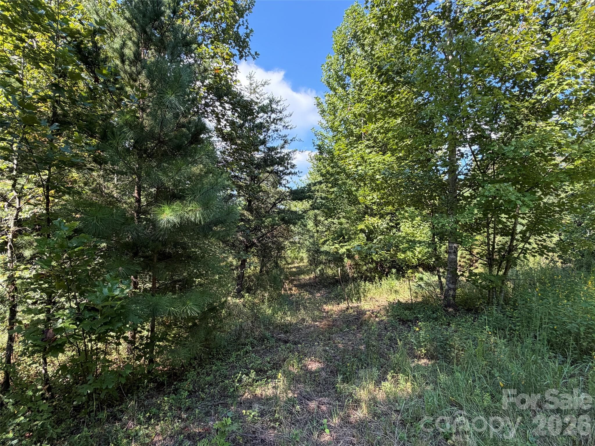 Acreage at TBD Southern Way, Nebo, photo 20 of 47