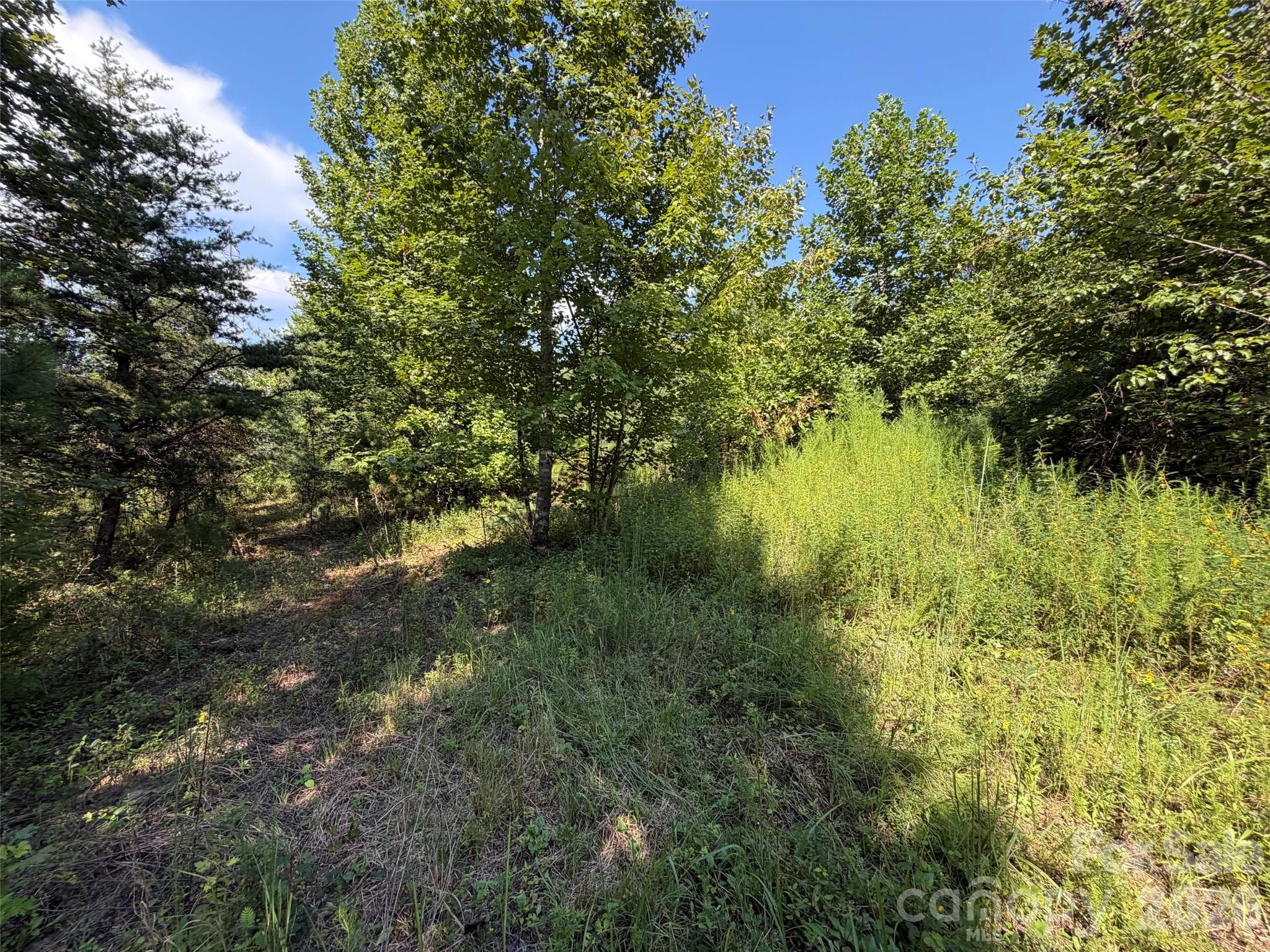 Acreage at TBD Southern Way, Nebo, photo 21 of 47