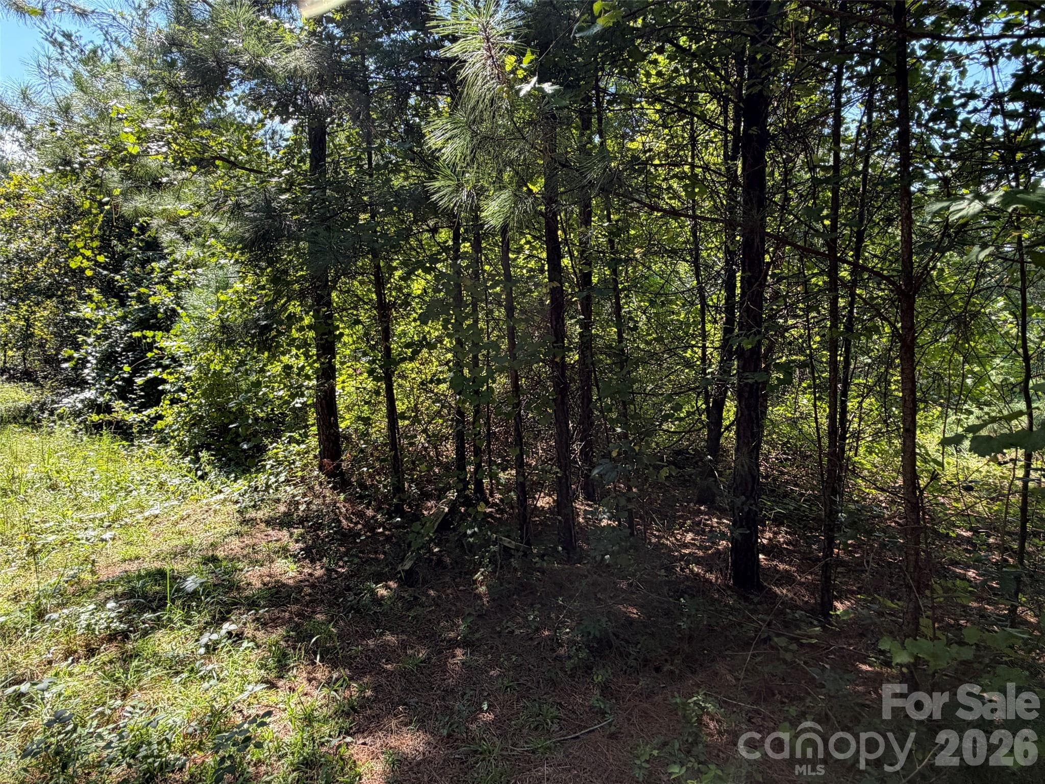 Acreage at TBD Southern Way, Nebo, photo 25 of 47