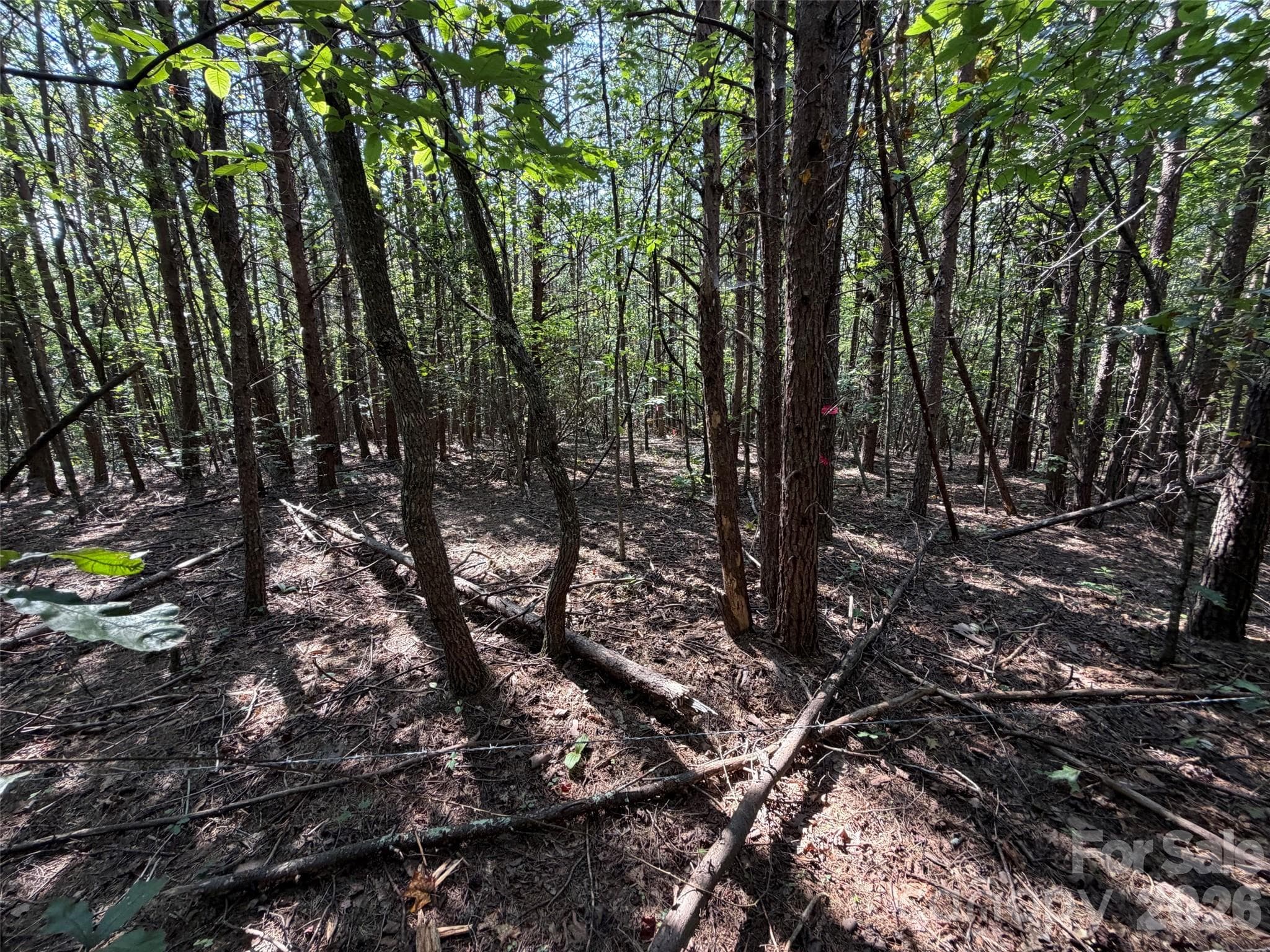Acreage at TBD Southern Way, Nebo, photo 36 of 47