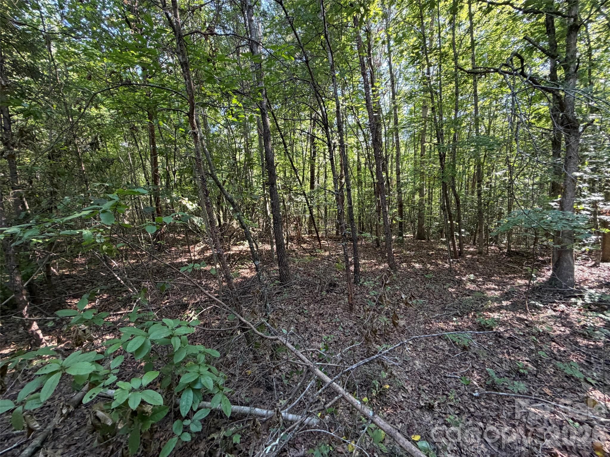 Acreage at TBD Southern Way, Nebo, photo 37 of 47