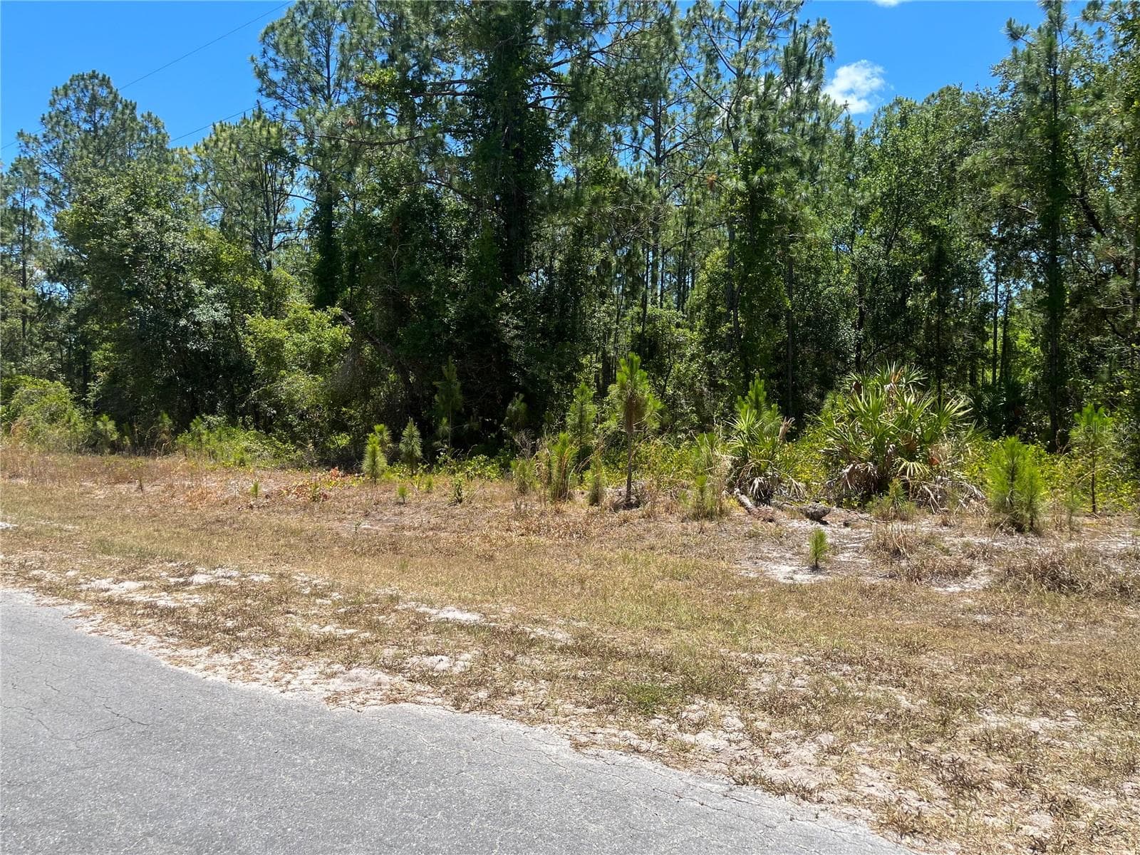 Land at 918 JAPONICA DR, INDIAN LAKE ESTATES, photo 10 of 11