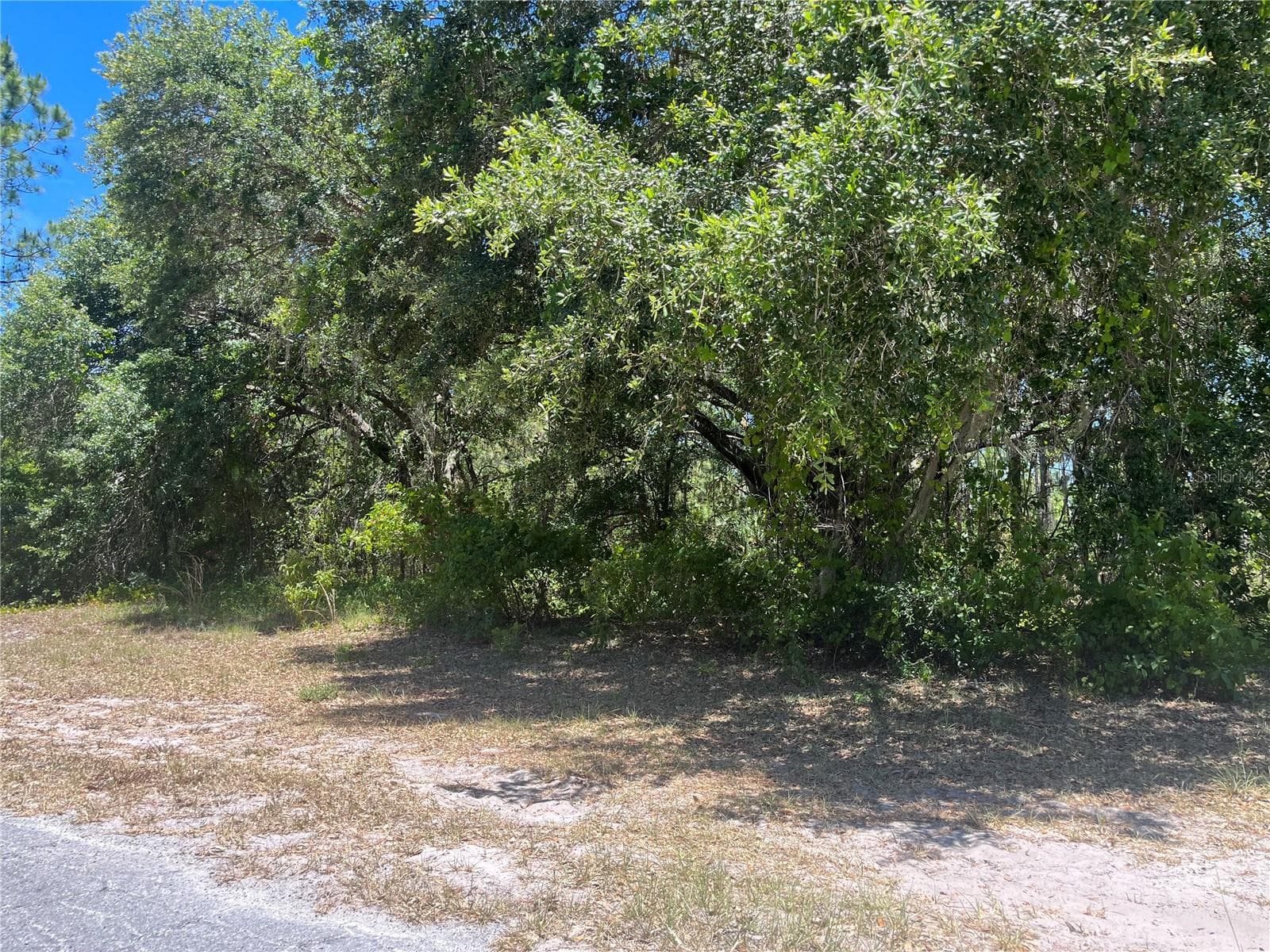 Land at 918 JAPONICA DR, INDIAN LAKE ESTATES, photo 11 of 11