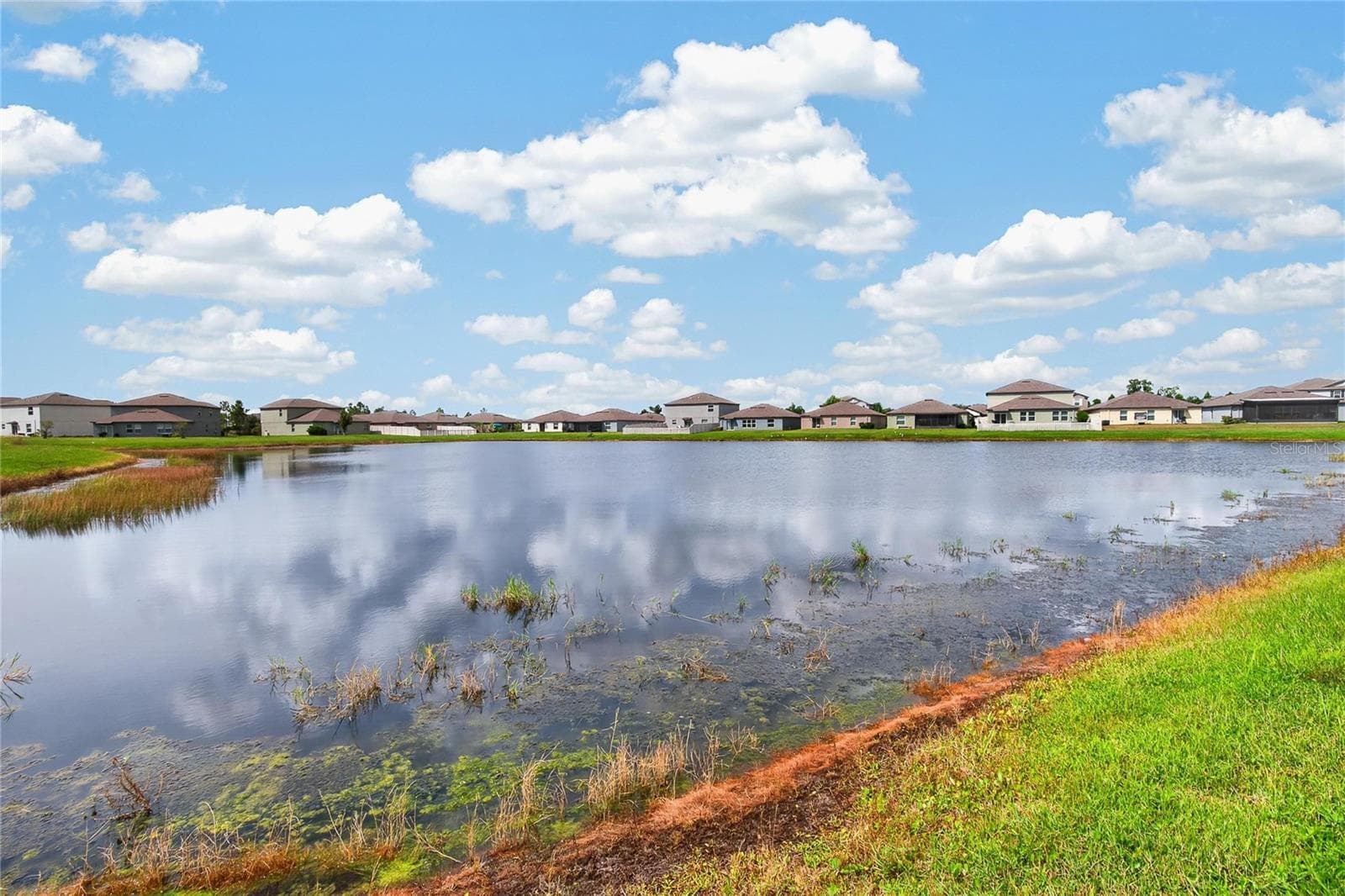 Single Family Residence at 5487 BLUE AZURE DR, WIMAUMA, photo 50 of 60