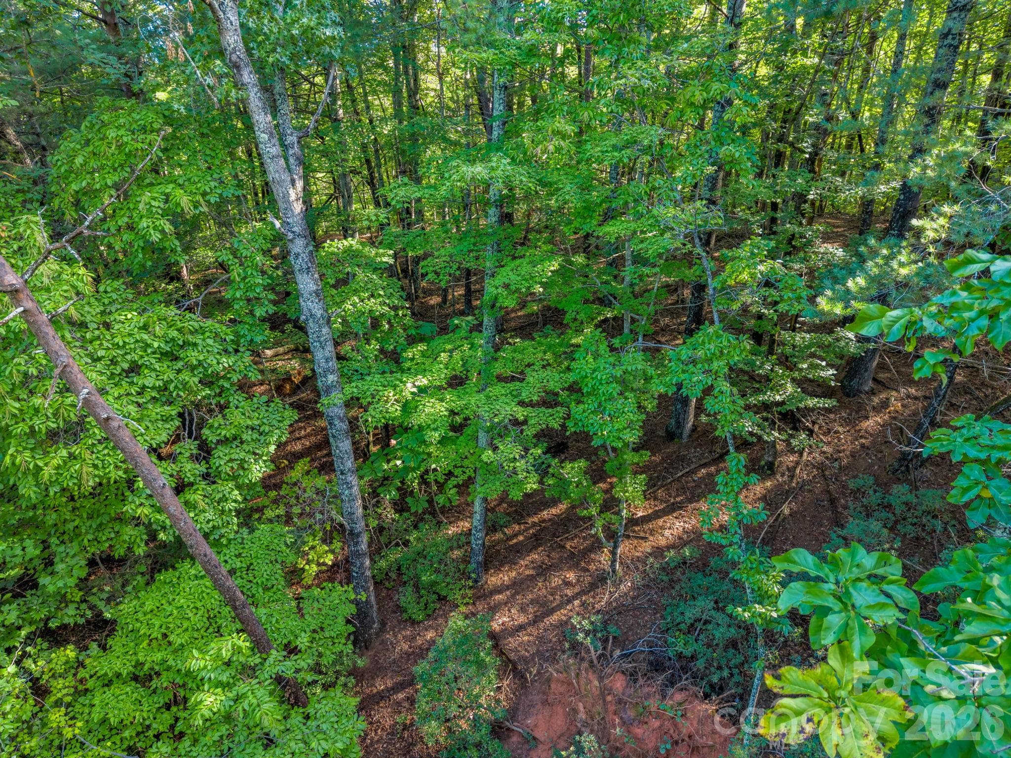 Lot at 122 Bridgewater Drive, Marion, photo 3 of 12