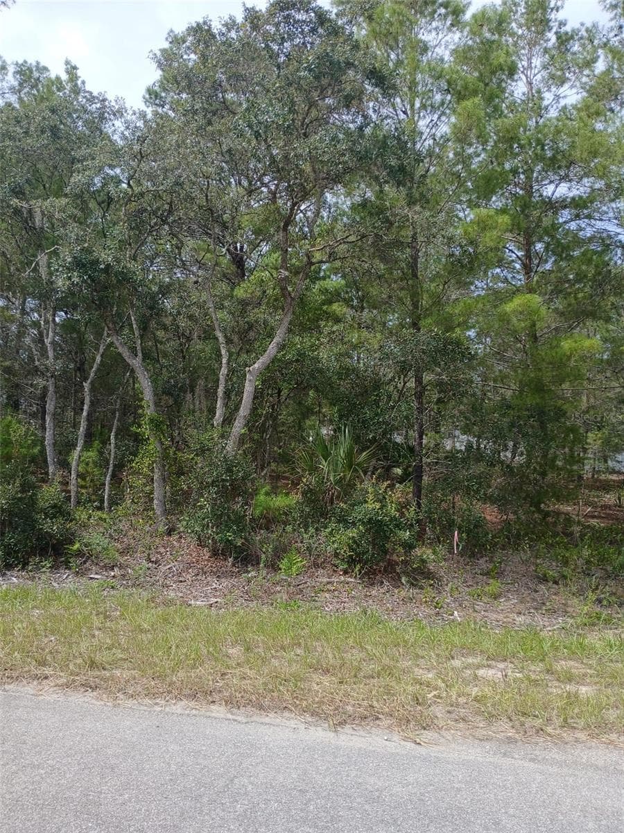 Land at SE FISHER CRSE #Lot 10, OCKLAWAHA, photo 3 of 4
