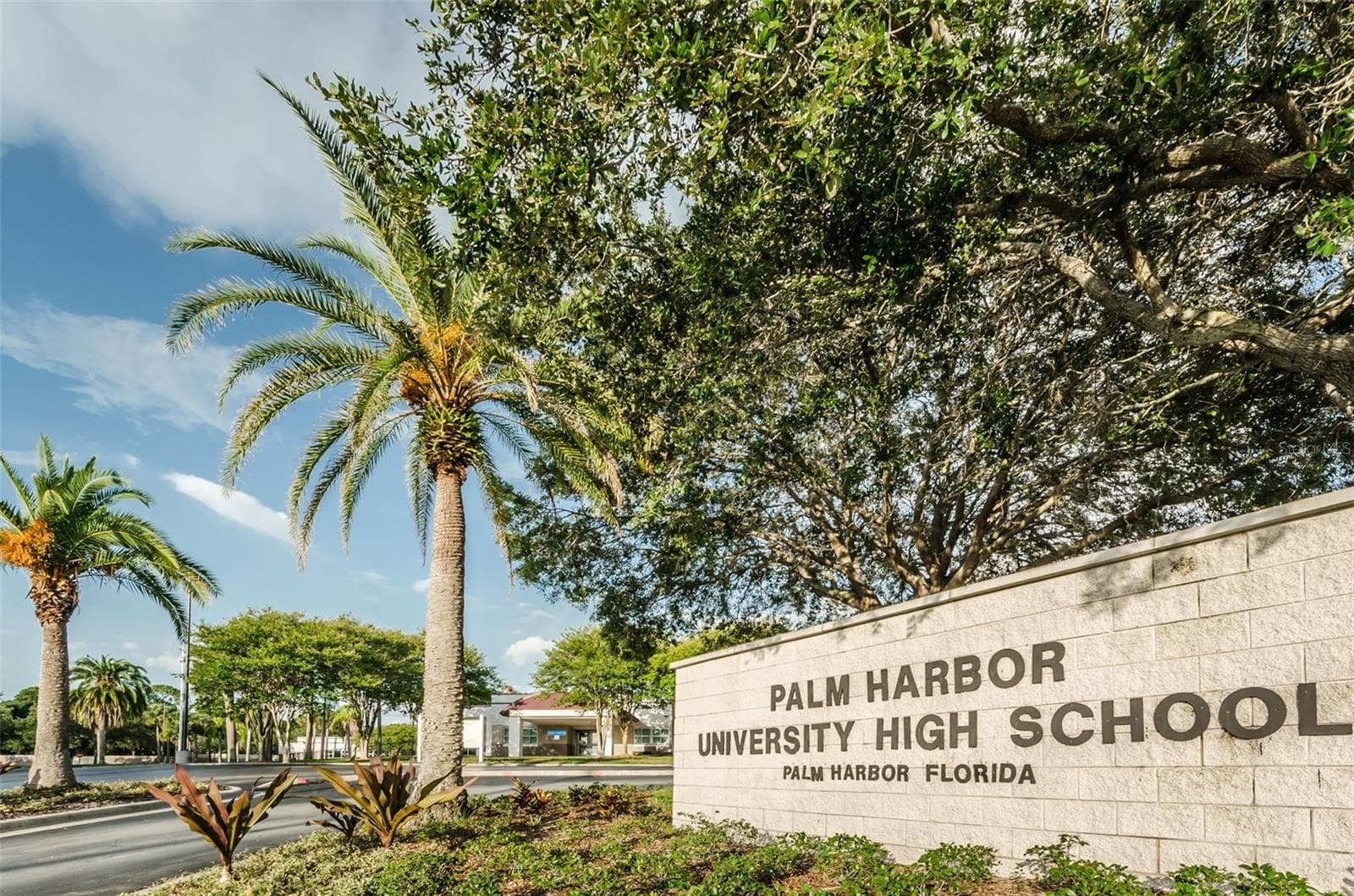Sought after schools - 1402 NEBRASKA AVE, PALM HARBOR