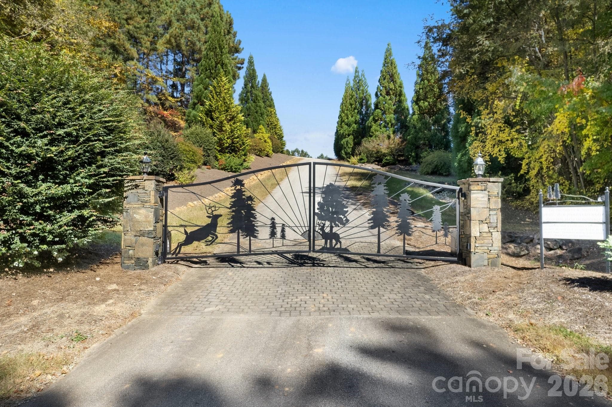 Lot at Rutherfordton, photo 18 of 18