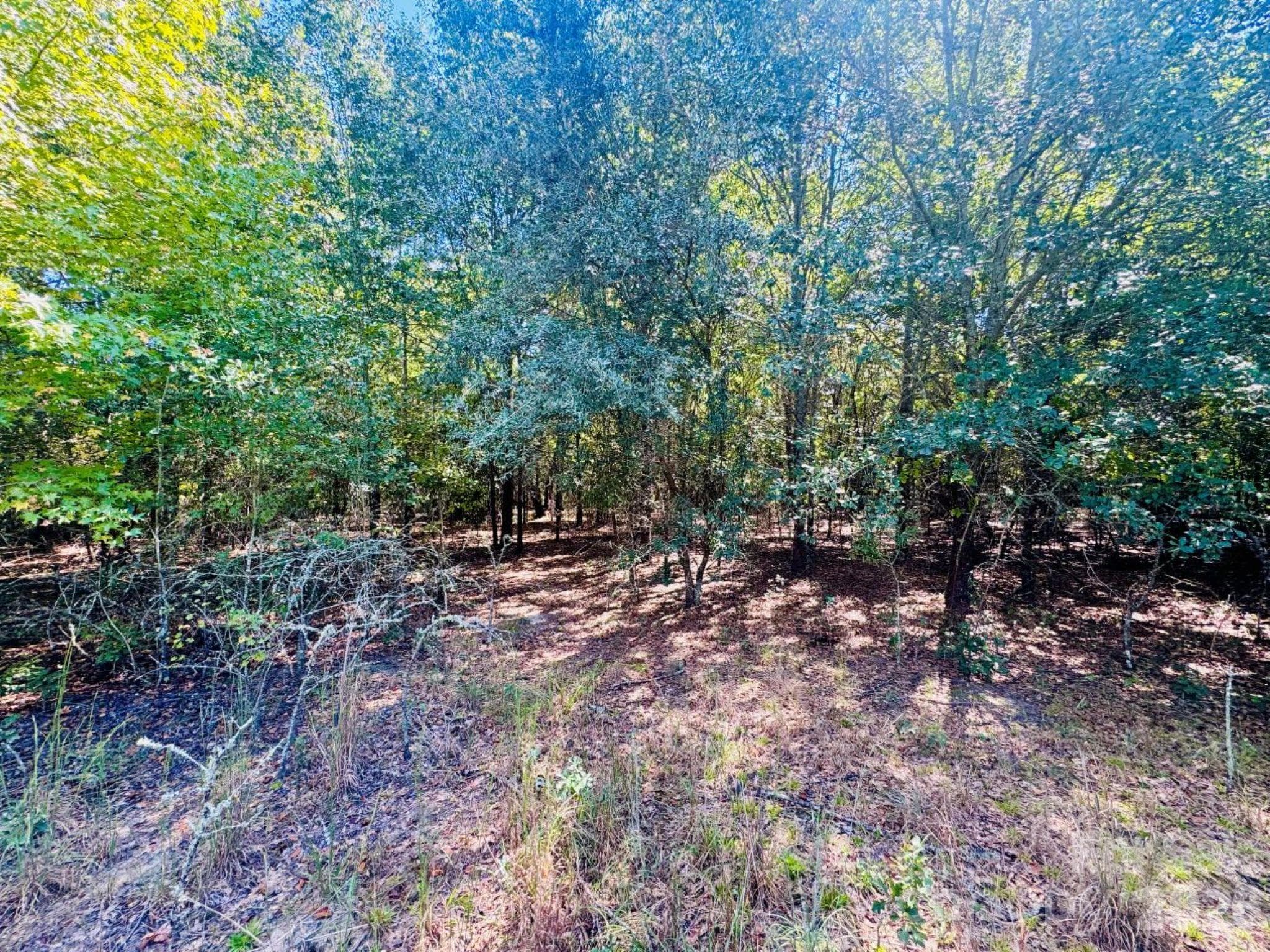 Lot 166 Brangus Lane