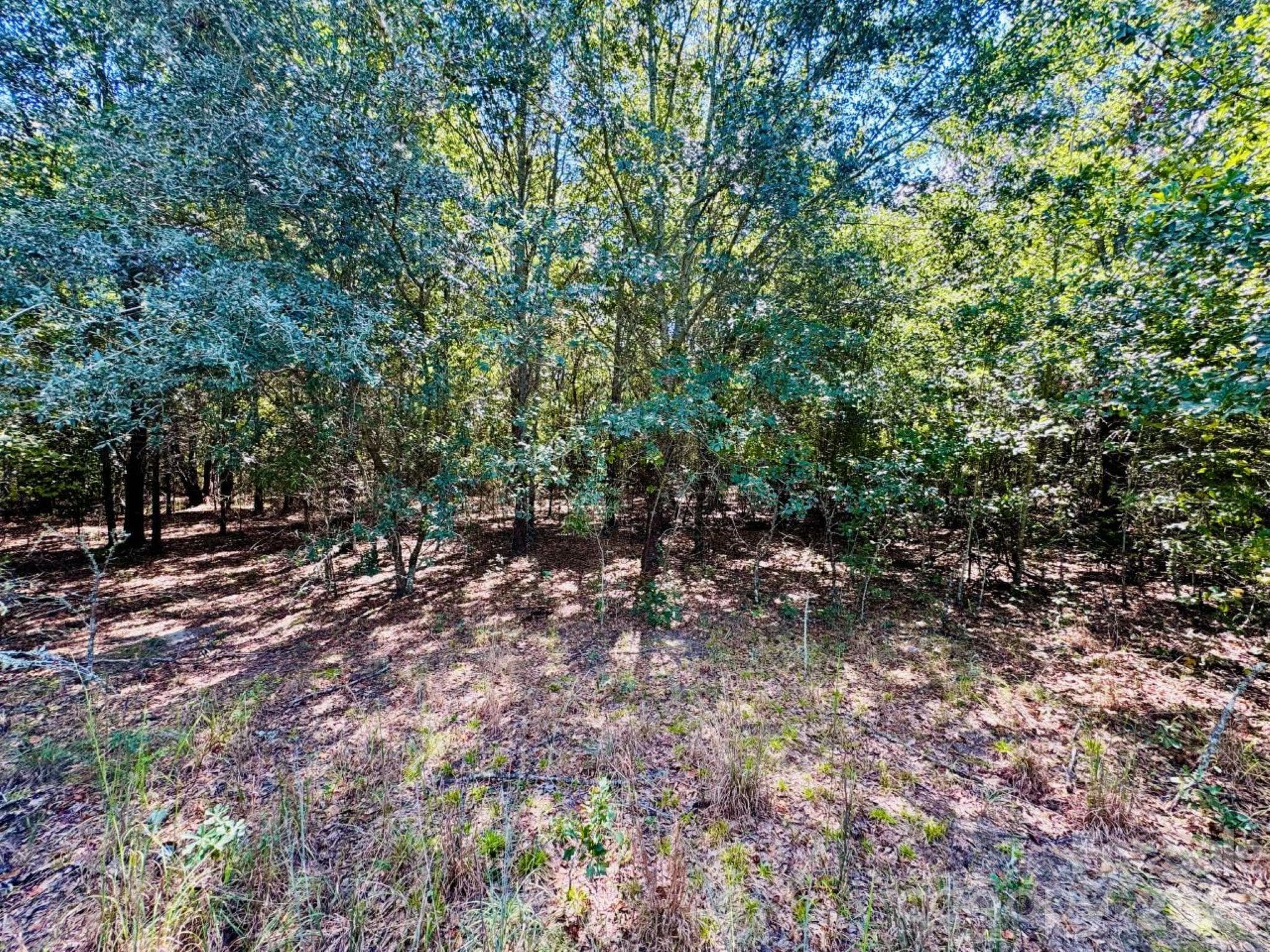 Lot at Lot 166 Brangus Lane, Cheraw, photo 2 of 10