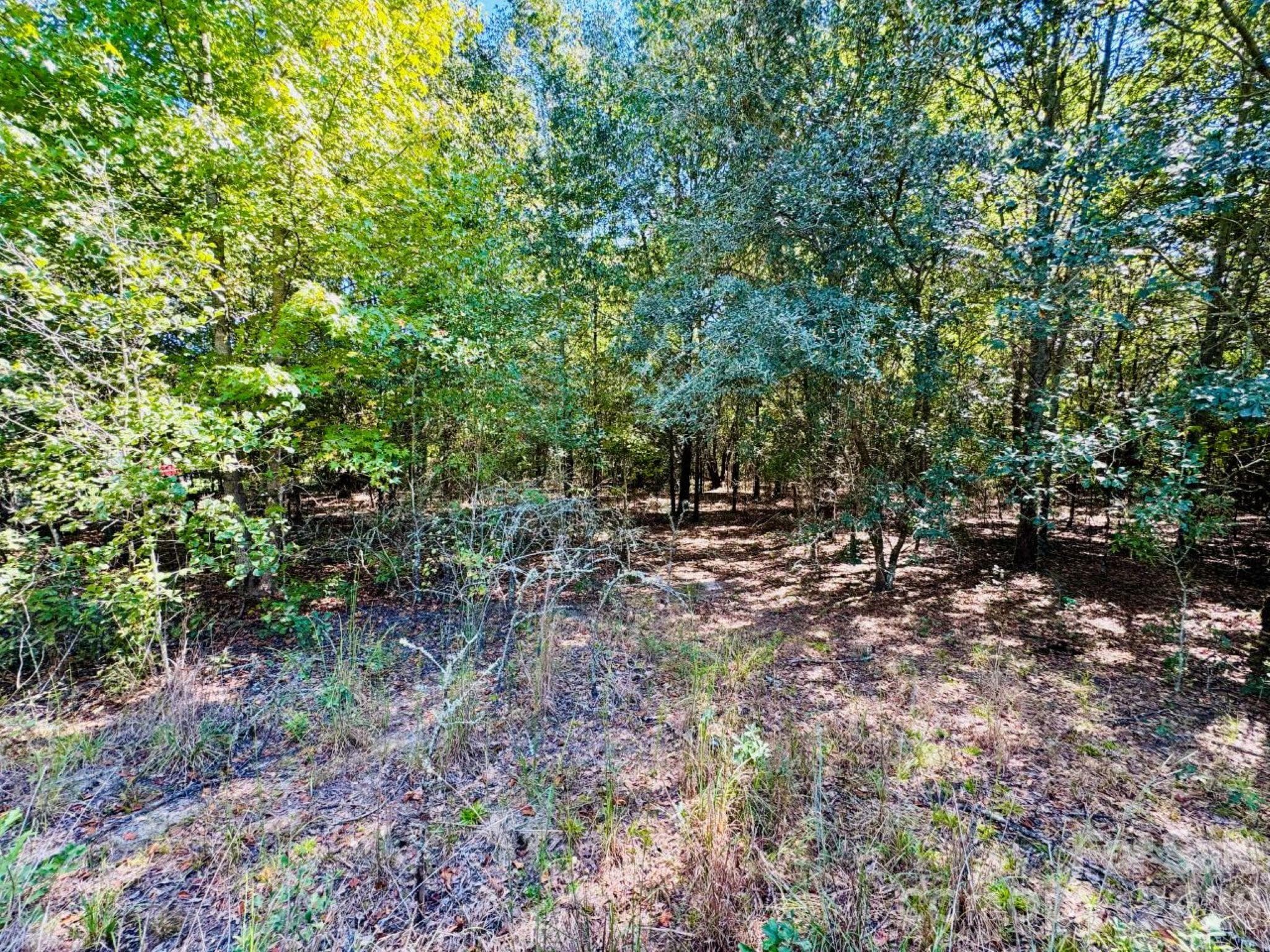 Lot at Lot 166 Brangus Lane, Cheraw, photo 3 of 10